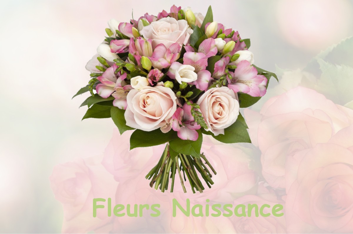 fleurs naissance ABAUCOURT-HAUTECOURT